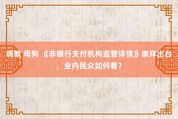 调教 母狗 《非银行支付机构监管详情》崇拜出台，业内民众如何看？