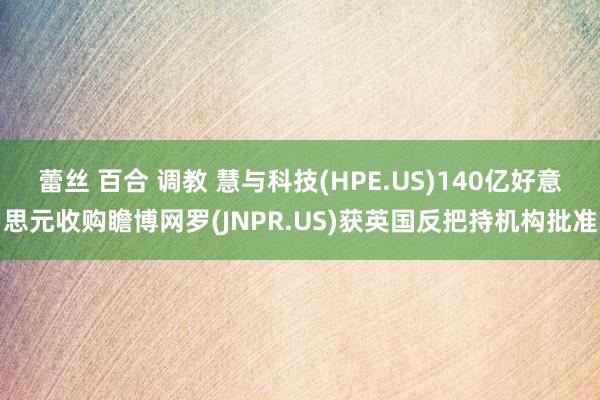 蕾丝 百合 调教 慧与科技(HPE.US)140亿好意思元收购瞻博网罗(JNPR.US)获英国反把持机构批准