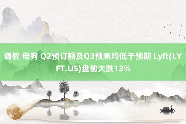 调教 母狗 Q2预订额及Q3预测均低于预期 Lyft(LYFT.US)盘前大跌13%