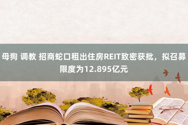 母狗 调教 招商蛇口租出住房REIT致密获批，拟召募限度为12.895亿元